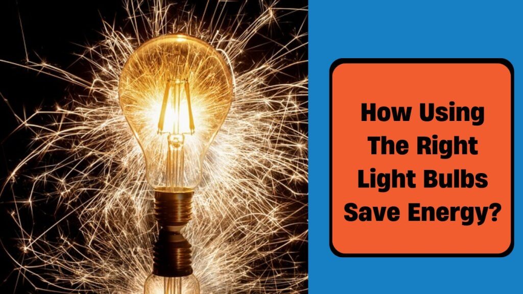 how using the right bulb can save energy